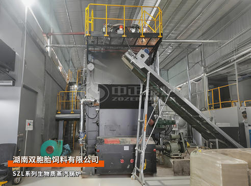 中正锅炉4吨/小时双锅筒生物质蒸汽锅炉用于双胞胎饲料厂项目