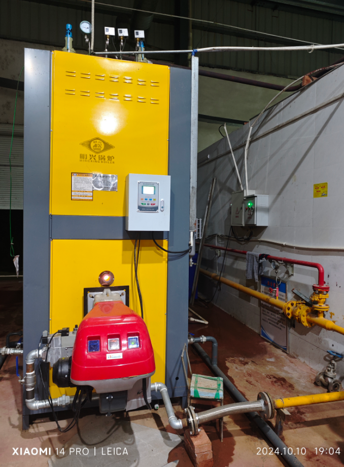 双胞胎屠宰厂LSS1-0.7-Q燃气蒸发器